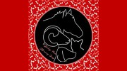 Stanley House Veterinary Group