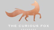 The Curious Fox