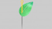 Julia Davis Acupuncture