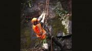 Lawrence Tree Services