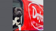 Dofos Pet Centres