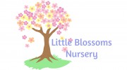 Little Blossoms Nursery