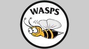 Latchford Wasps