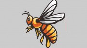 Elite Pest Control