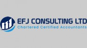 E F J Consulting