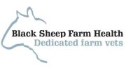 Black Sheep Farm Health