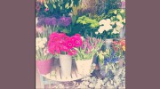 Floral Design House