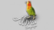 Alma Languages