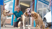 Eureka Veterinary Centre In Ashford