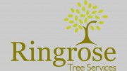 Ringrose Tree Services