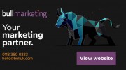 Bull Marketing