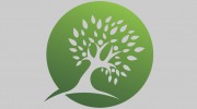 Dave Ford Tree Care
