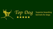 Top Dog