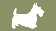 Vanity Fur Dog Grooming