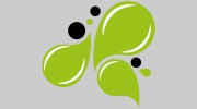 Lime Design Studio
