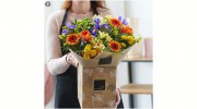 Blooms For Flowers