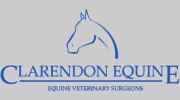 Clarendon Equine Vets