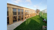 Buttercup Cattery