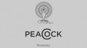 Peacock At Rowsley