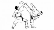 The Mark Farnham Schools Of Tae Kwon-Do