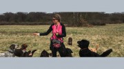 Charlie Brown Dog Walking Services