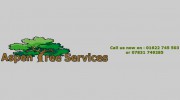 Aspen Tree Services