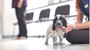 Oakmount Veterinary Centre