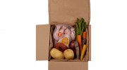 Temperature Controlled Packaging