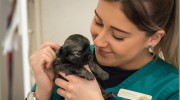 Burch Tree Vets Morecambe