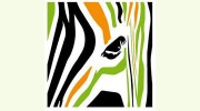 Office Zebra