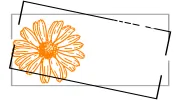 The Village Florist