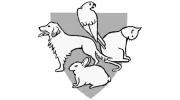 Condorrat Veterinary Surgery