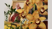 Dechen London: Sakya Buddhist Centre