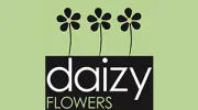 Daizy Flowers