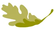 Oak Force