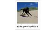 Alpha Pet Care