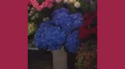 Gainsborough Flowers