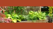 Springfield Landscaping