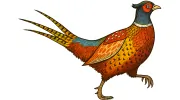 The Pheasant Public House & Hotel