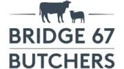 Bridge 67