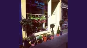 Lily West Florist