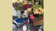 Jane Bidwell Flowers