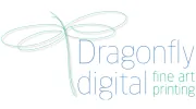 Dragonfly Digital