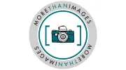More Than Images