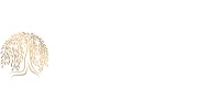 Willow Tree Dental