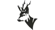 Higher Buck