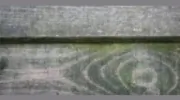 Acorn Fencing