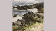 The Shetland Gallery