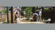 Arcadia Garden Design