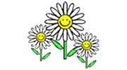 Daisychain Holidays